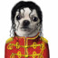 Michael Dog