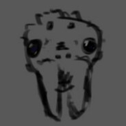 Pauk