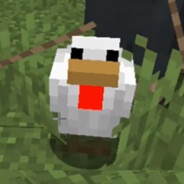 feigi