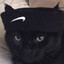 Tutz