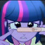 PonyHab