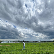 Лак для волос