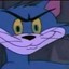 Senor Pussy Cat
