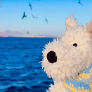 喜欢满嘴孩子气的她