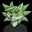 Go to player's stats Hyan avatar