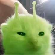 男的女的都去给老子4