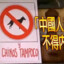 请你们回去国服吧