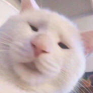 悄悄滴安包打枪滴不要