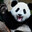 Beksho_bro