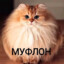 didntwakeup