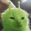 gloingy