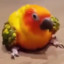 Kingcaique