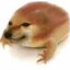 FATBOItheMLGNOOB
