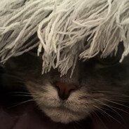 スパイダーケリ