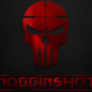 NogginShot1337