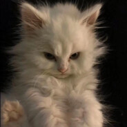 大威天龙小霸王