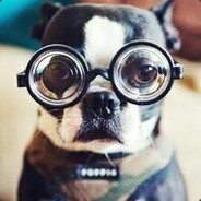 我就是那个小智