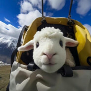 你在搞什么飞机