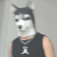 准备就绪！拉屎✌