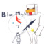 BlueMaple_TW