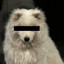 woof