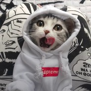 她和影流都是劫