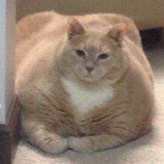 ·:*¨༺ ♱Mentas♱༻¨*:·