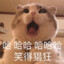 乖乖小爸