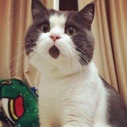 顺风头铁怕过谁