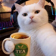 ♡ ᴋᴡʜɪsᴋᴇʏʏ- Steam avatar