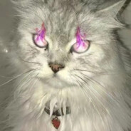 稍微心碎了一下