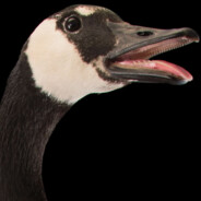 Papa Goose