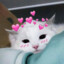 setsunai