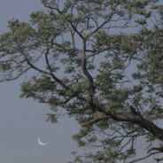 BEAR - steam id 76561199570414986