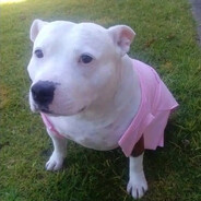 𝐌𝐄𝐑𝐋𝐈𝐍𝐍㍼