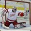 Redwings05