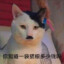 希儿会保护大家的*