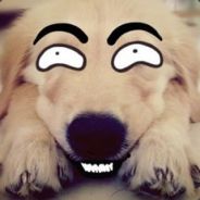 [F.M.]┽→الشرير في السلطة﹏.