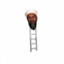 osama bin ladder