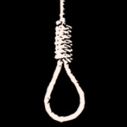 nofelet - steam id 76561199485992180