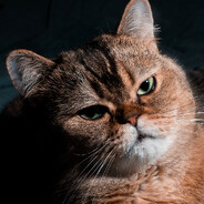 Hektor avatar