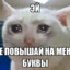 не ори на меня