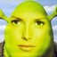 Beautiful Shrek