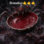 Dima_Drill