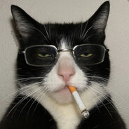 VITO - steam id 76561199215926271