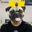 King dog b XIV