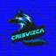 Crisvizca