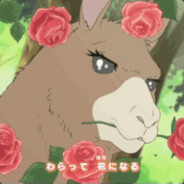 Llama's avatar