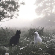 kkkkkkkkkkkkkkkkkkkkkkkkkkkkkkkk