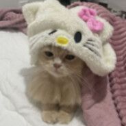 escaped from mental hospital